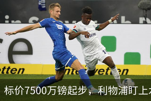 标价7500万镑起步，利物浦盯上水晶宫中场